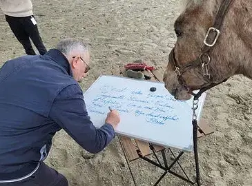 atelier bien-être Avranches-1