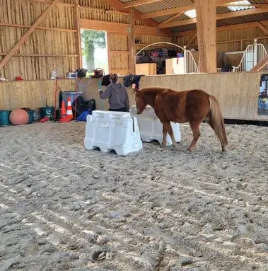 atelier bien-être Avranches-3