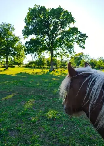 atelier bien-être Avranches-4