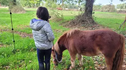 atelier bien-être Avranches-5
