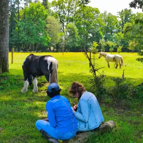 atelier bien-être à Bretagne - image 4