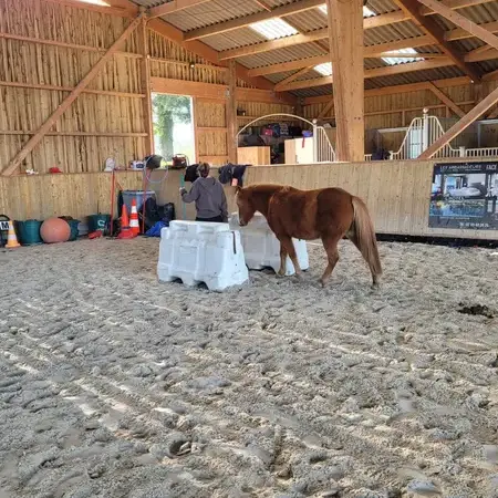 atelier bien-être Bretagne-5