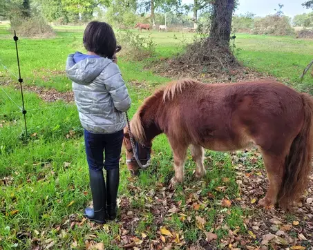 atelier bien-être Combourg-2