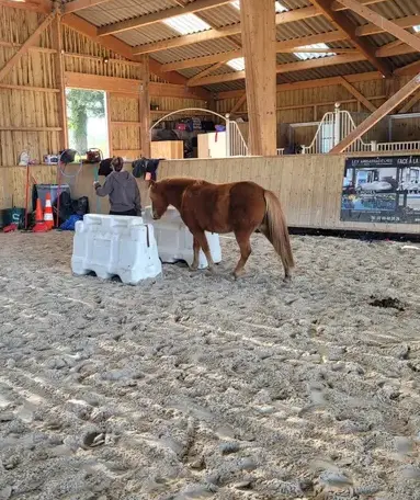 atelier bien-être Combourg-3