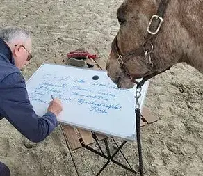 atelier bien-être Combourg-4