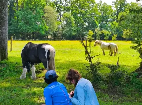 atelier bien-être Combourg-5