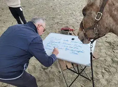 atelier bien-être Dol-de-Bretagne-1