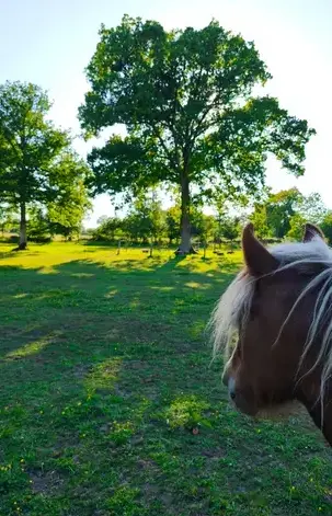 atelier bien-être Dol-de-Bretagne-2