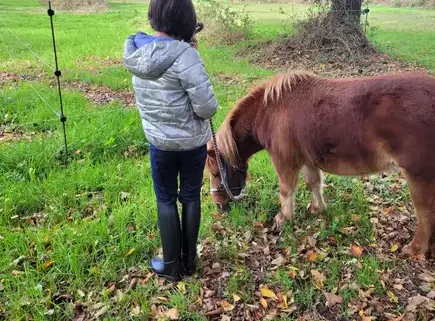 atelier bien-être Dol-de-Bretagne-3