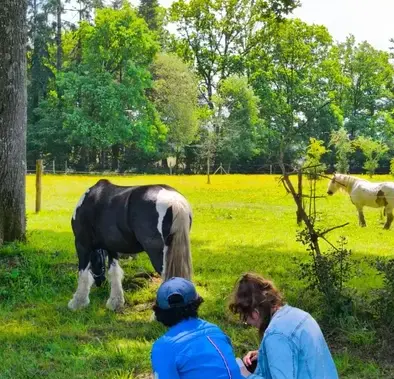 atelier bien-être Dol-de-Bretagne-4