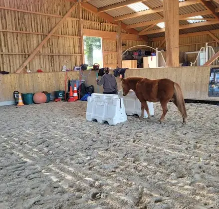 atelier bien-être Dol-de-Bretagne-5