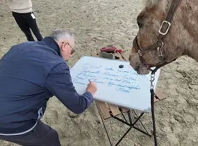 atelier bien-être Fougères-1