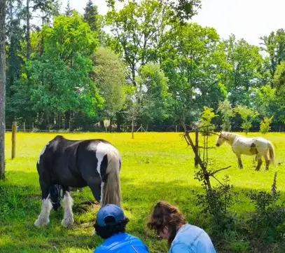 atelier bien-être Fougères-3