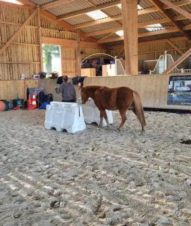 atelier bien-être Fougères-4