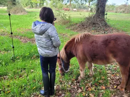 atelier bien-être Fougères-5
