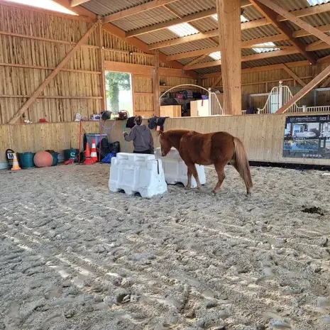 atelier bien-être Ille-et-Vilaine-1
