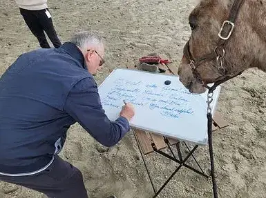 atelier bien-être à Ille-et-Vilaine - image 3