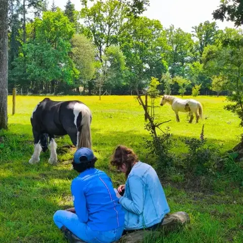 atelier bien-être à Ille-et-Vilaine - image 4