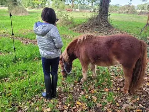 atelier bien-être Ille-et-Vilaine-5