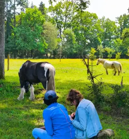 atelier bien-être Maen Roch-2