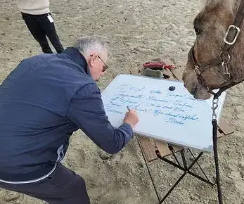 atelier bien-être Maen Roch-3