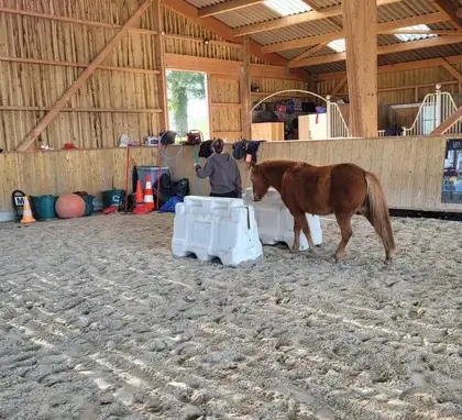 atelier bien-être Maen Roch-4