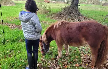 atelier bien-être Maen Roch-5