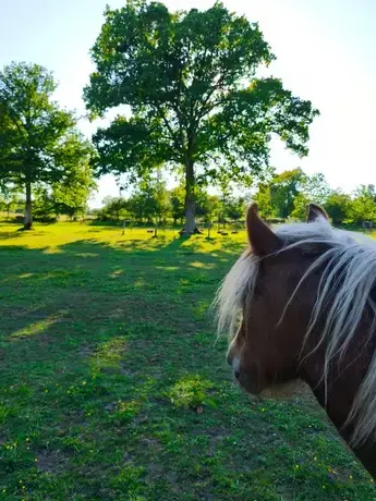 atelier bien-être à Normandie - image 2