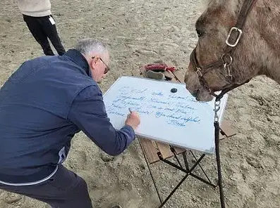 atelier bien-être à Normandie - image 4