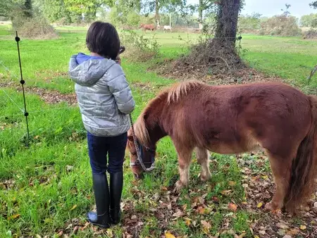 atelier bien-être à Pontorson - image 3