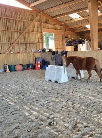 atelier bien-être Rennes-2