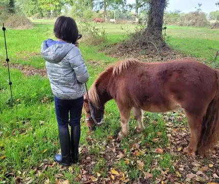 atelier bien-être Rennes-4