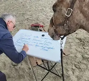 atelier bien-être Rennes-5