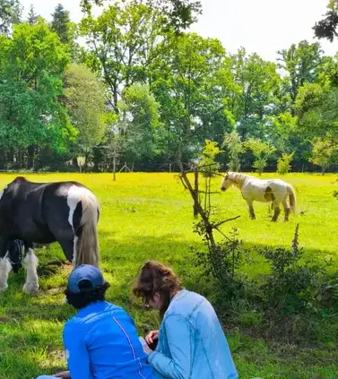coaching développement personnel Avranches-1