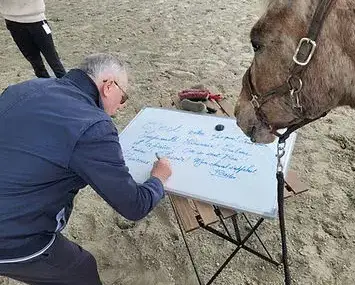 coaching développement personnel Avranches-2