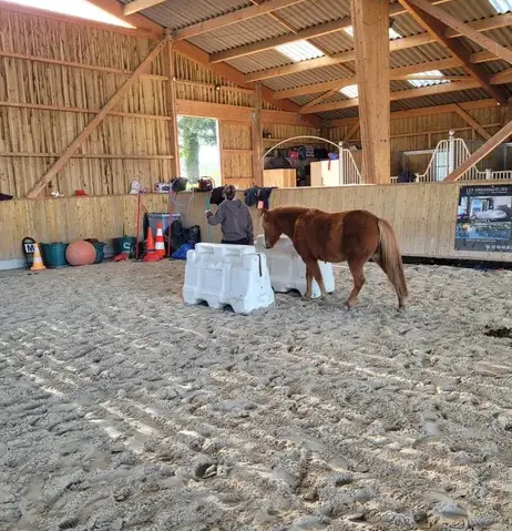 coaching développement personnel Avranches-3