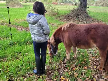 coaching développement personnel Avranches-4