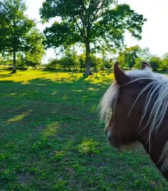 coaching développement personnel Avranches-5