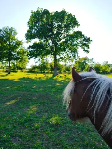 coaching développement personnel Bretagne-1