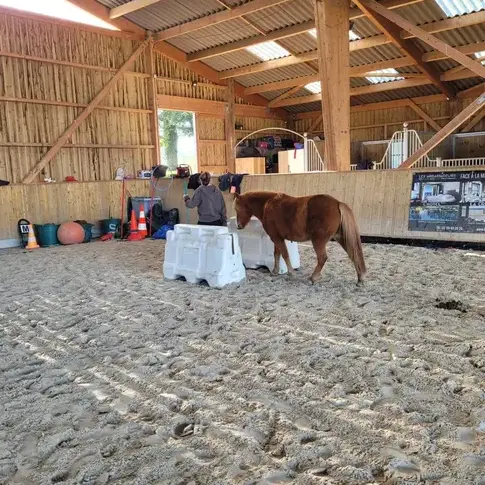 coaching développement personnel à Bretagne - image 2