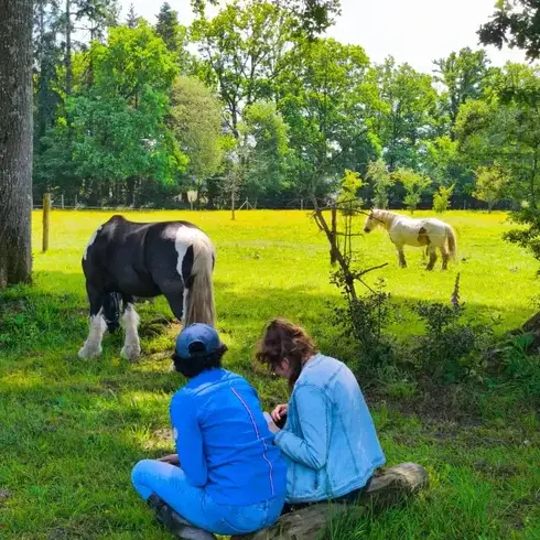 coaching développement personnel à Bretagne - image 3