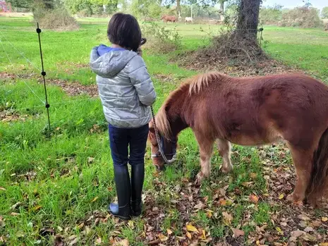coaching développement personnel à Bretagne - image 4