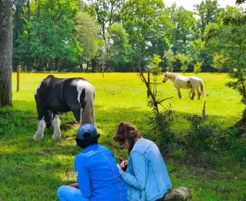 coaching développement personnel Combourg-1
