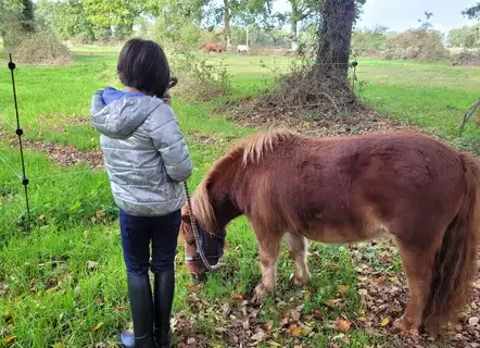 coaching développement personnel Combourg-2