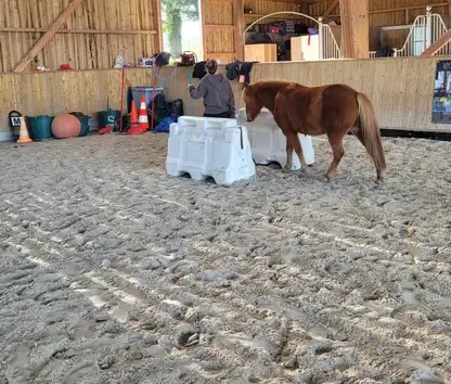 coaching développement personnel Combourg-3