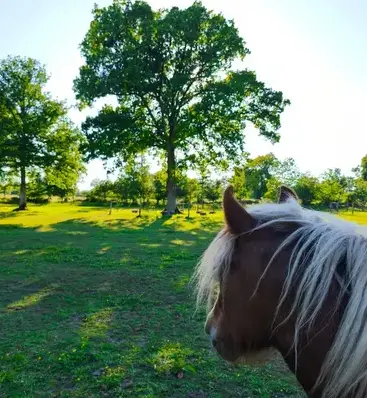 coaching développement personnel Combourg-5