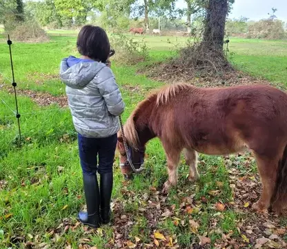 coaching développement personnel Dol-de-Bretagne-3