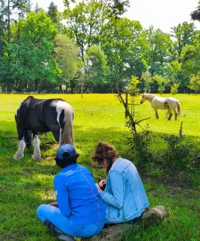 coaching développement personnel Dol-de-Bretagne-4