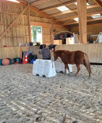 coaching développement personnel Dol-de-Bretagne-5