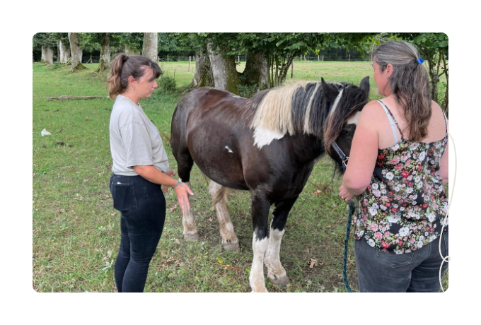 coaching developpement personnel fougeres